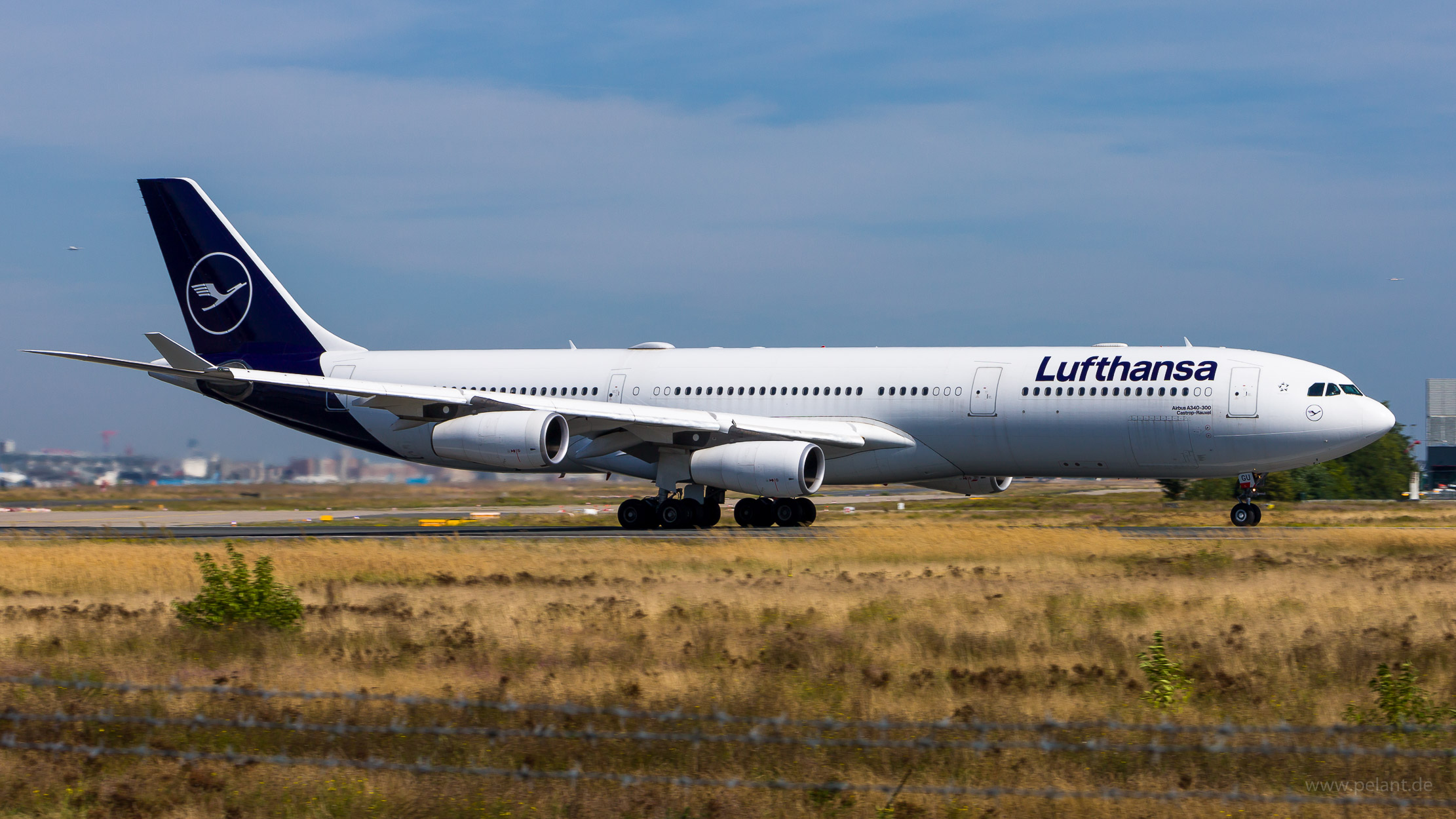 D-AIGU Lufthansa Airbus A340-313 in Frankfurt / FRA
