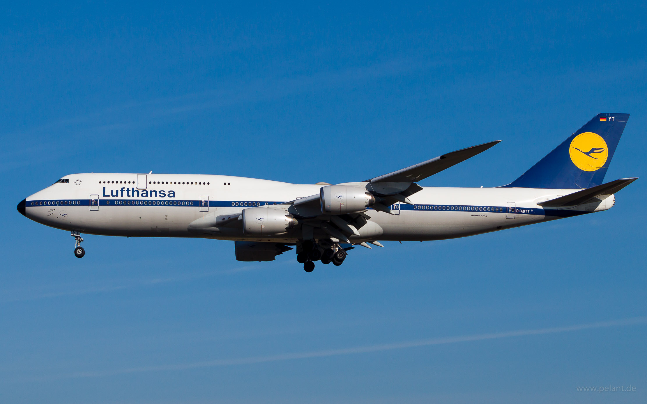 D-ABYT Lufthansa Boeing 747-8 Intercontinental in Frankfurt / FRA (Retro Livery)