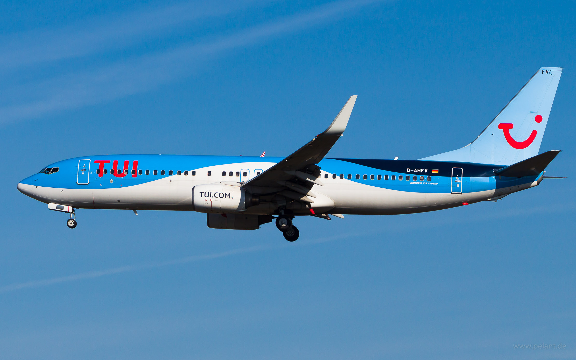 D-AHFV TUIfly Boeing 737-8K5 in Frankfurt / FRA