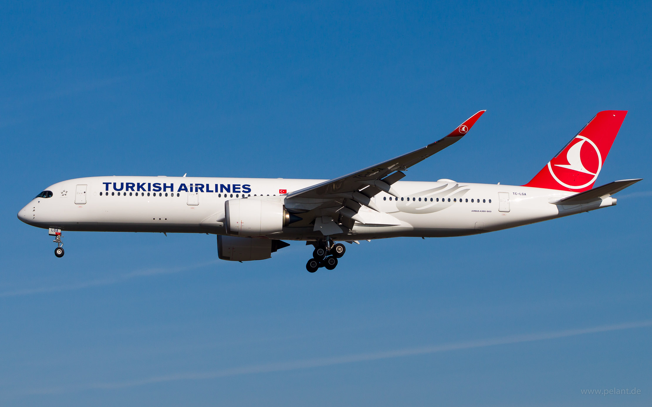 TC-LGA Turkish Airlines Airbus A350-941 in Frankfurt / FRA