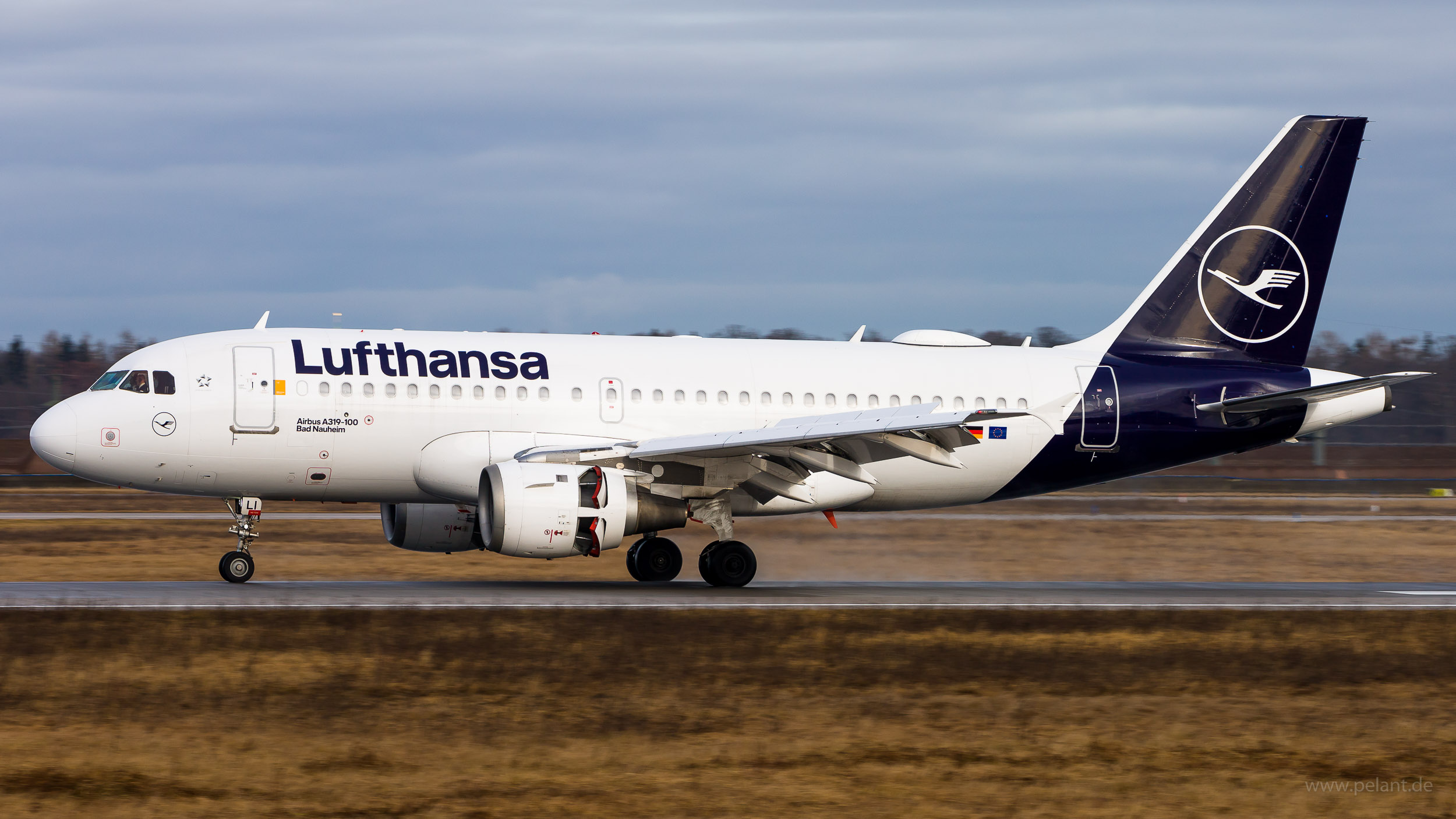D-AILI Lufthansa Airbus A319-114 in Stuttgart / STR