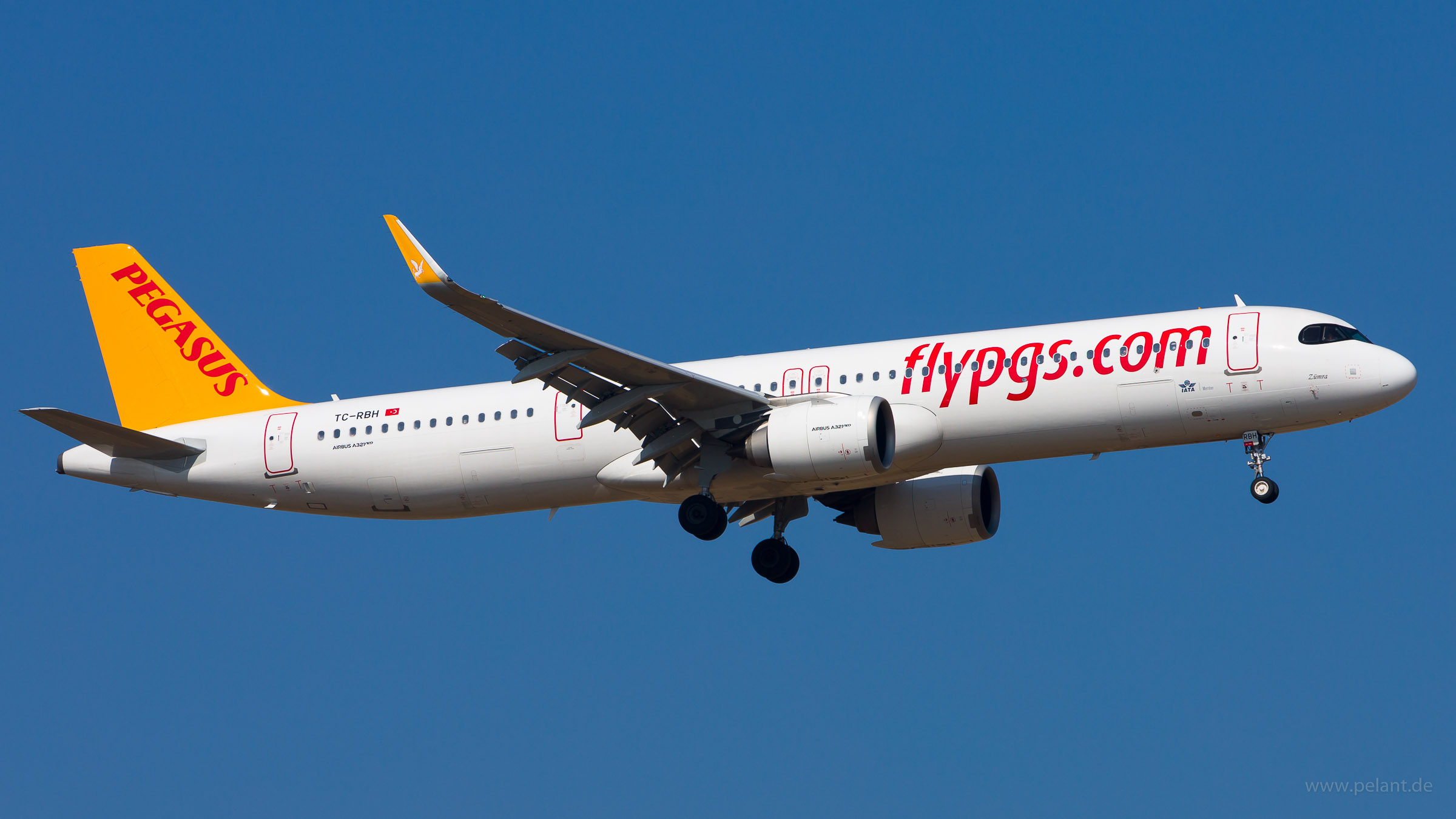 TC-RBH Pegasus Airlines Airbus A321-251NX in Stuttgart / STR