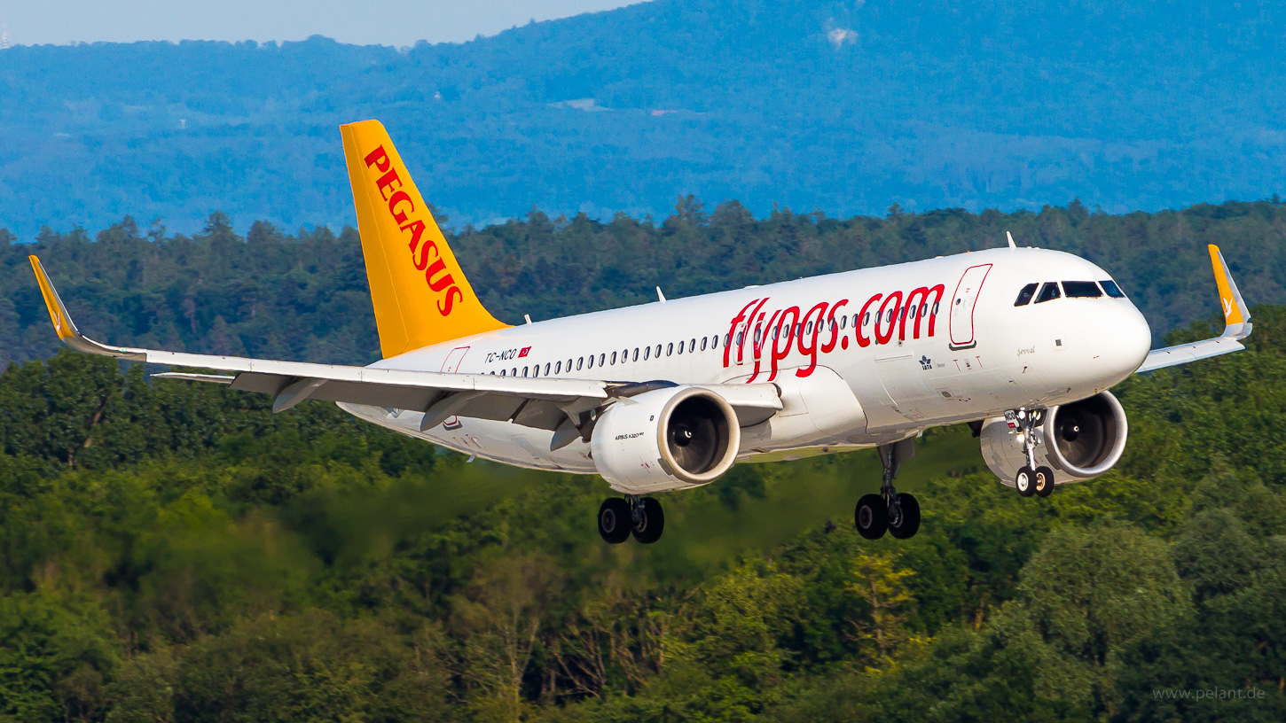 TC-NCO Pegasus Airlines Airbus A320-251N in Stuttgart / STR