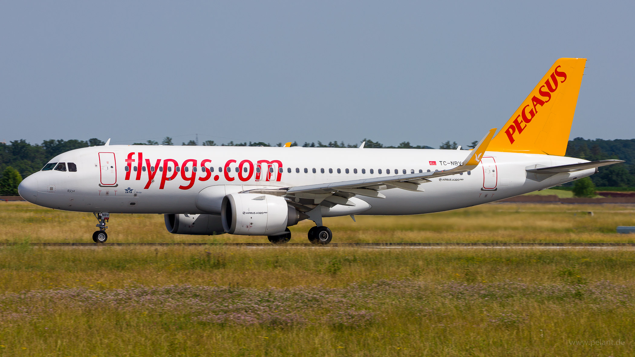 TC-NBV Pegasus Airlines Airbus A320-251N in Stuttgart / STR