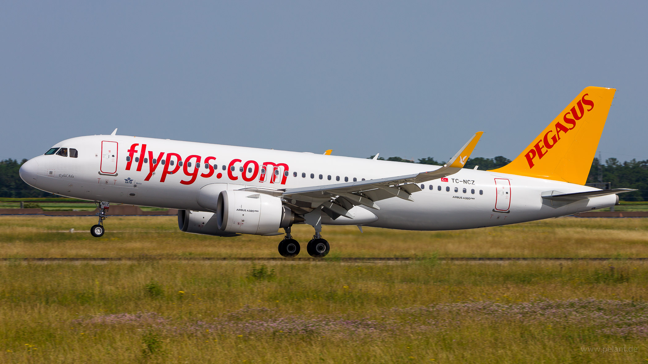 TC-NCZ Pegasus Airlines Airbus A320-251N in Stuttgart / STR