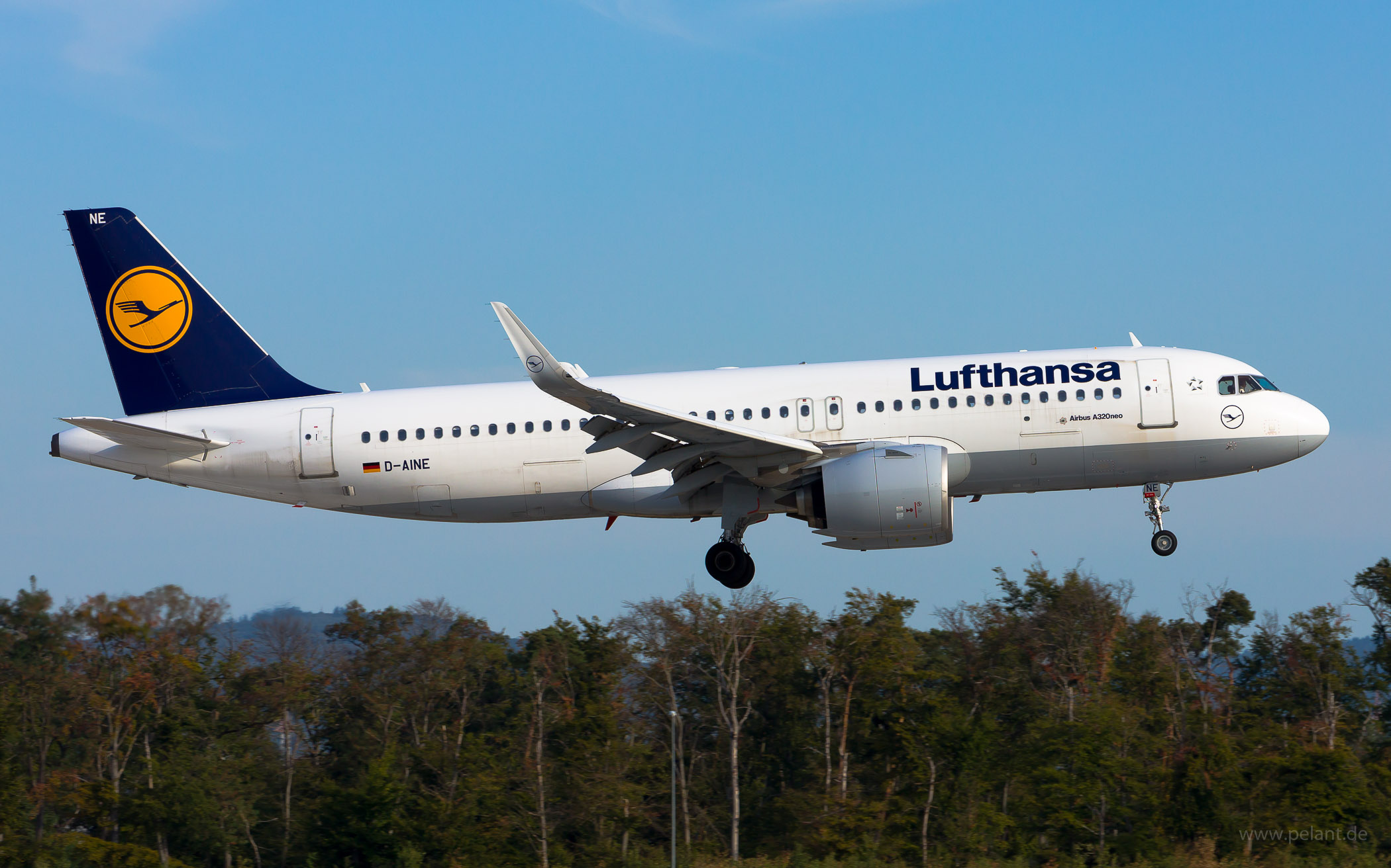 D-AINE Lufthansa Airbus A320-271N in Frankfurt / FRA