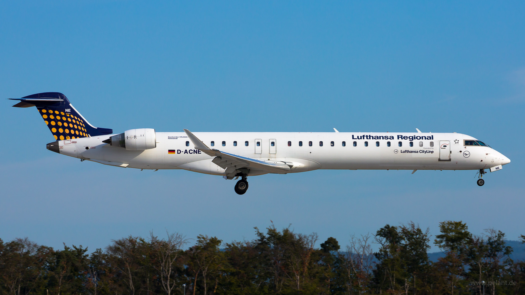 D-ACNE Lufthansa CityLine Bombardier CRJ900LR in Frankfurt / FRA