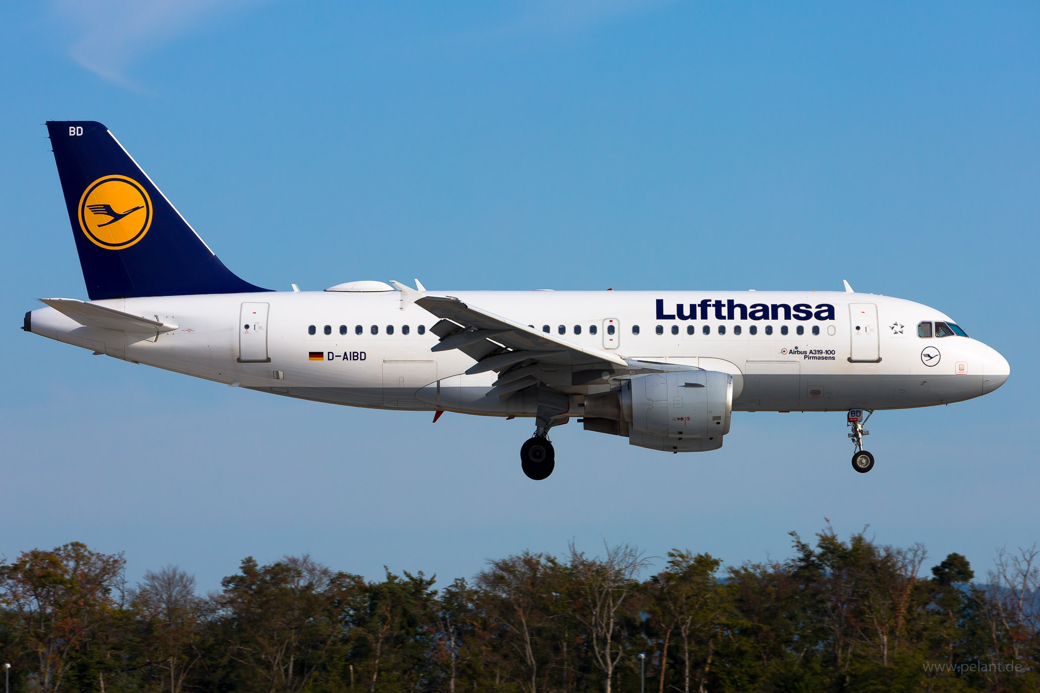 D-AIBD Lufthansa Airbus A319-112 in Frankfurt / FRA
