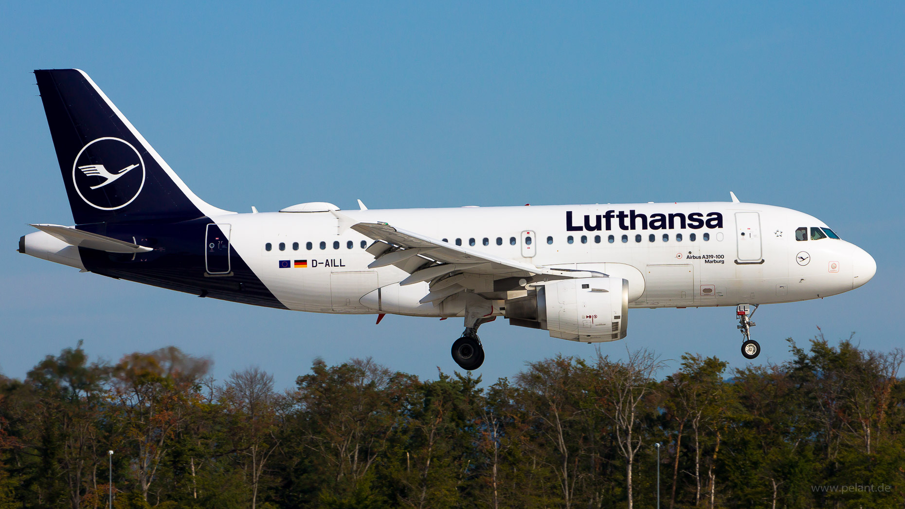 D-AILL Lufthansa Airbus A319-114 in Frankfurt / FRA