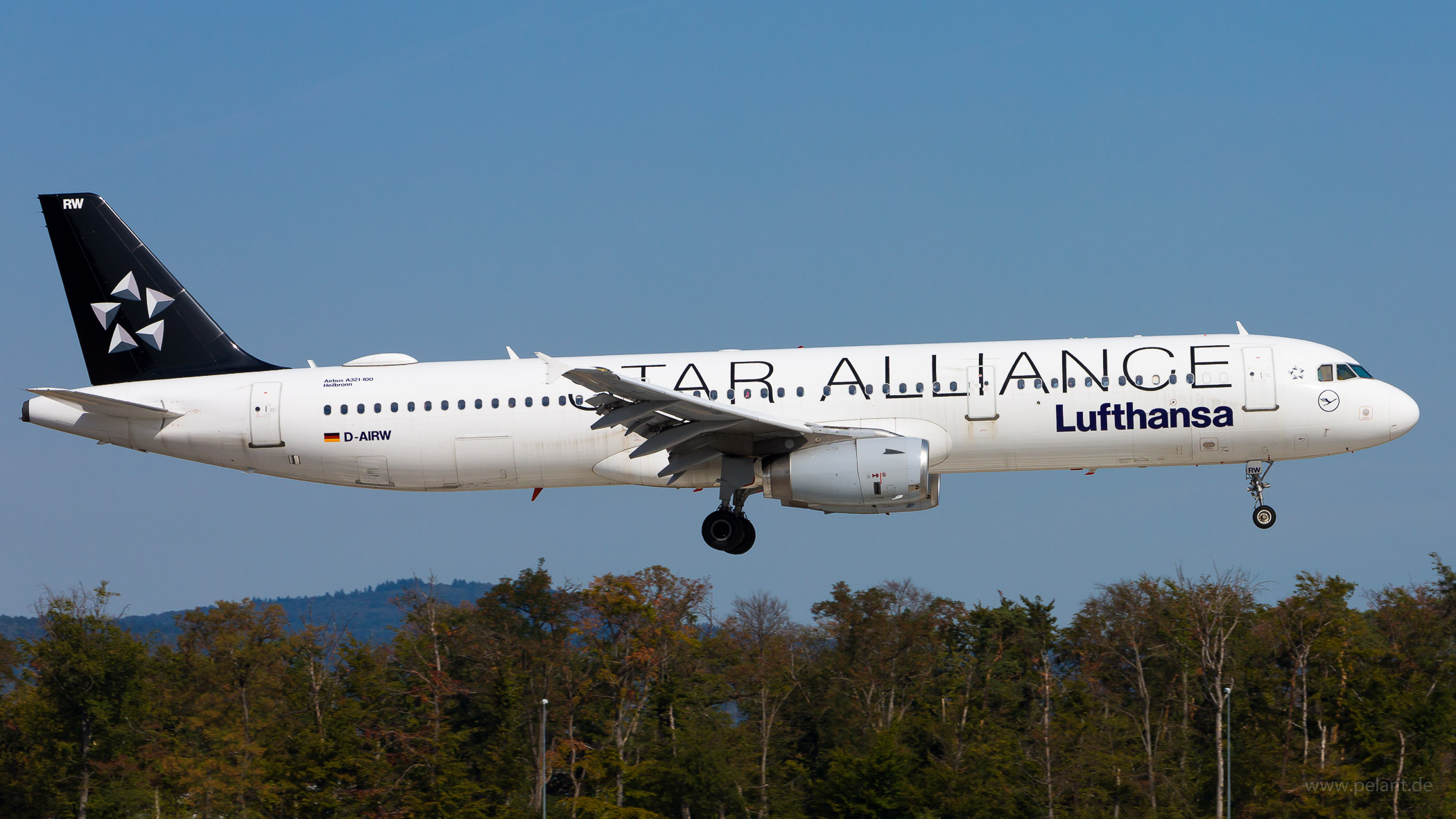 D-AIRW Lufthansa Airbus A321-131 in Frankfurt / FRA (Star Alliance Livery)