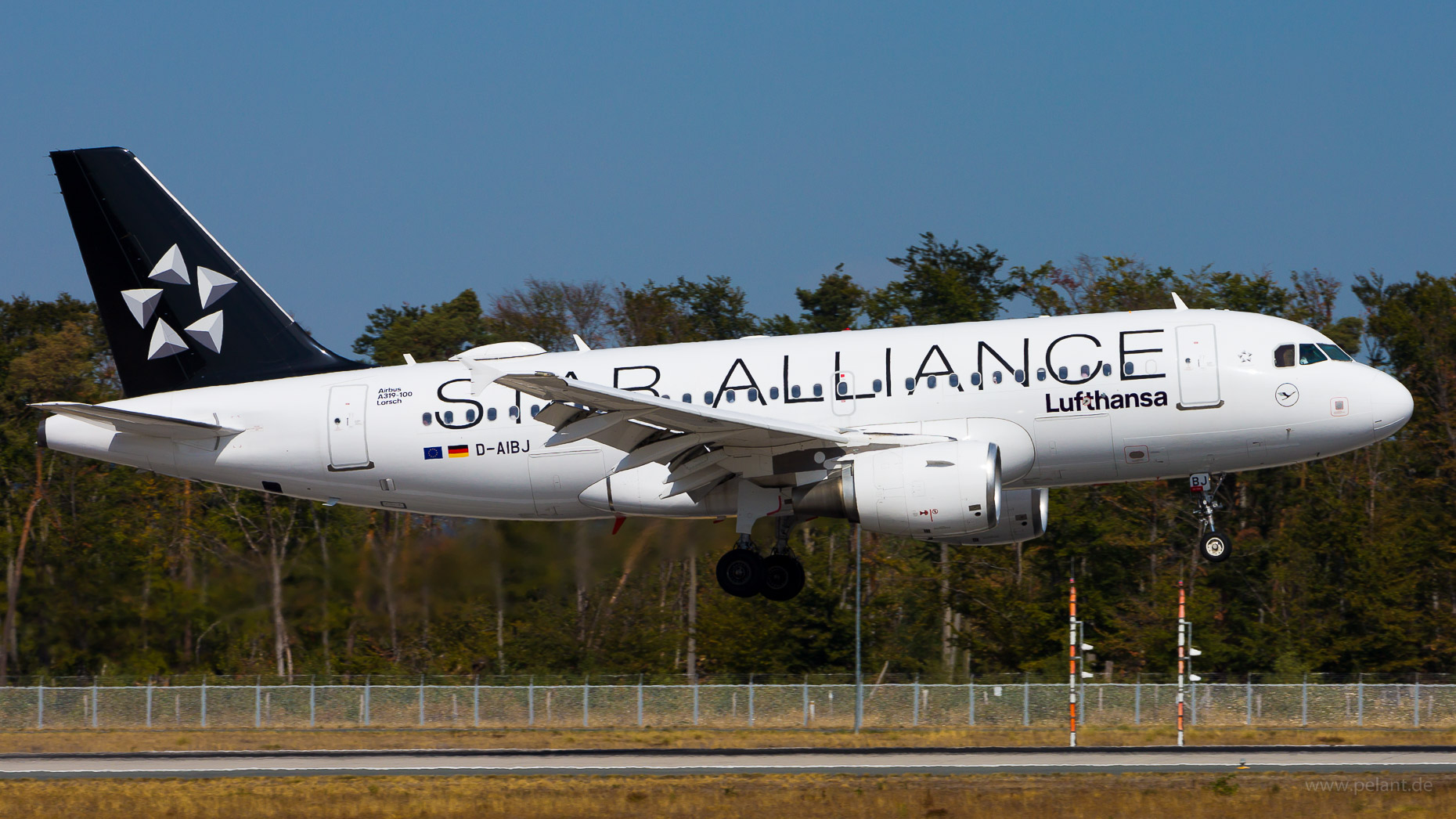 D-AIBJ Lufthansa Airbus A319-112 in Frankfurt / FRA (Star Alliance Livery)