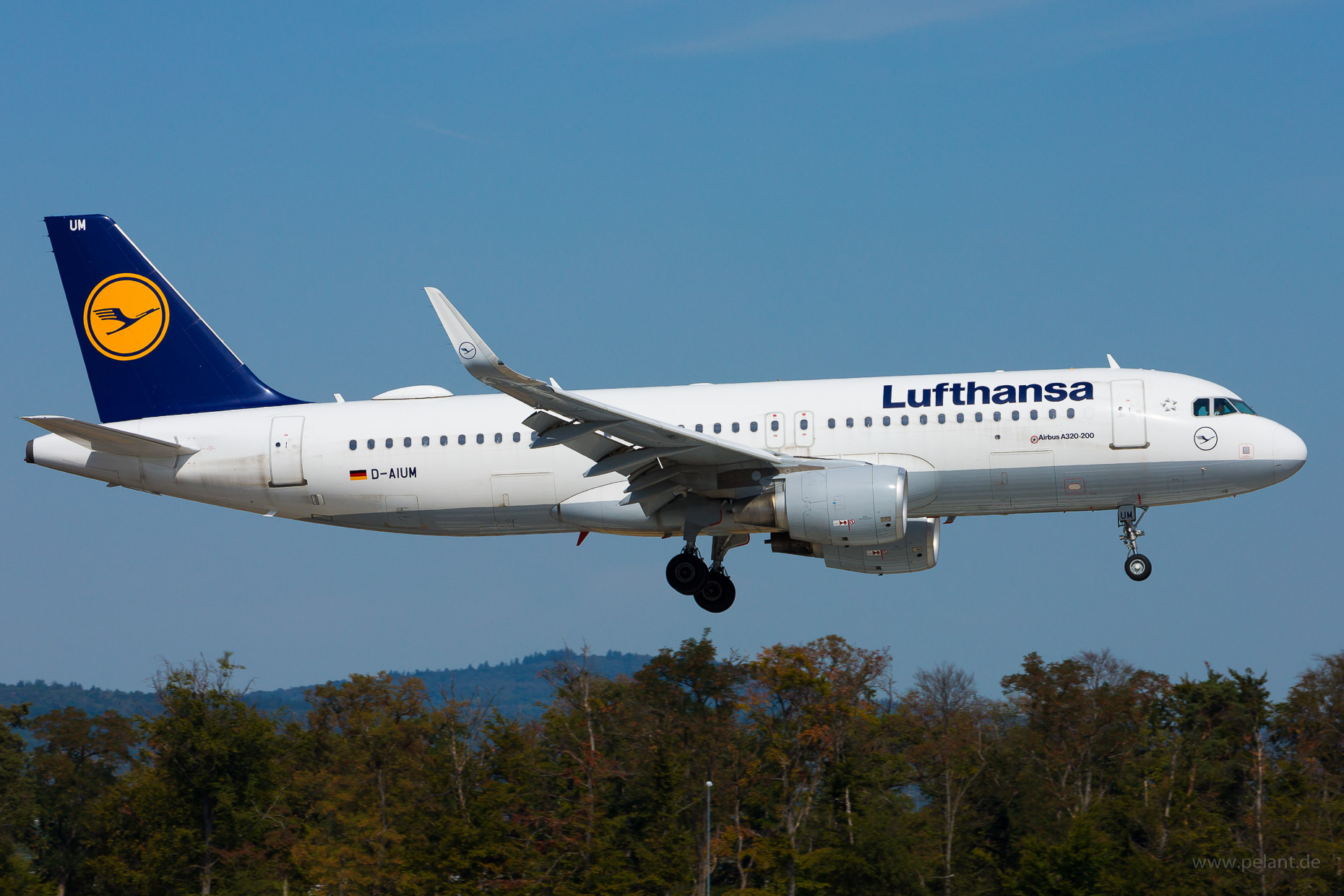 D-AIUM Lufthansa Airbus A320-214 in Frankfurt / FRA