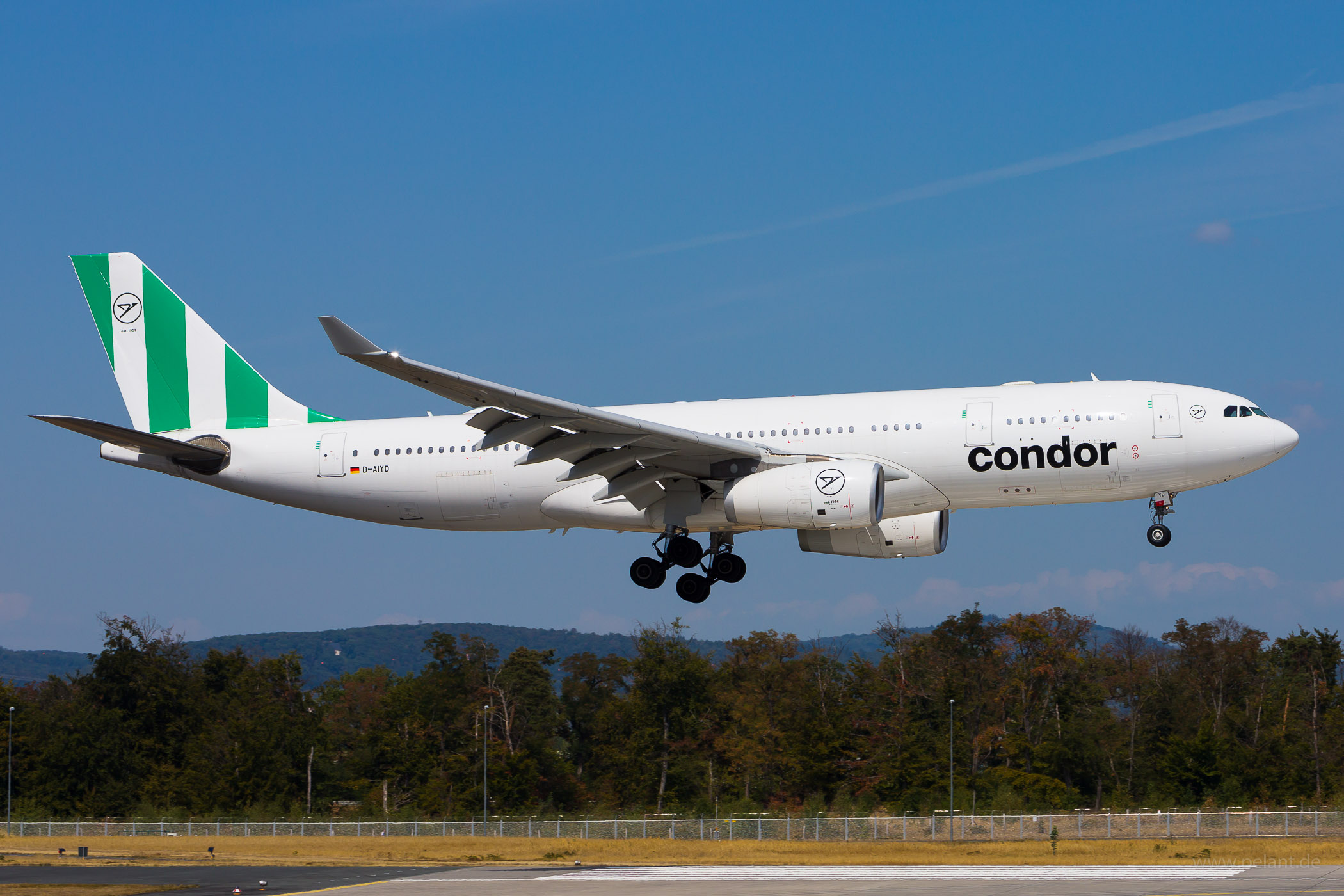 D-AIYD Condor Airbus A330-243 in Frankfurt / FRA