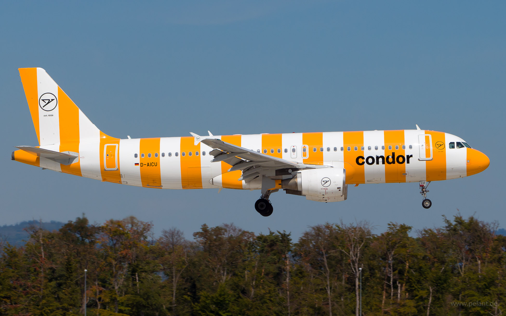 D-AICU Condor Airbus A320-214 in Frankfurt / FRA