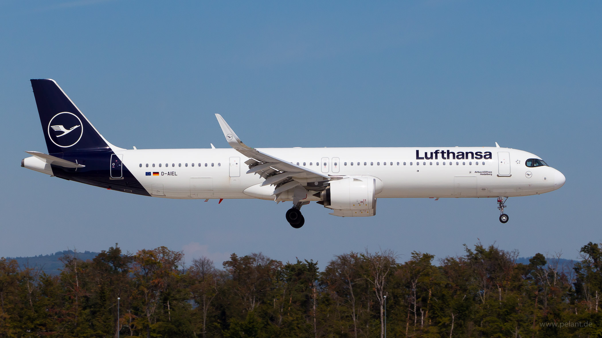 D-AIEL Lufthansa Airbus A321-271NX in Frankfurt / FRA