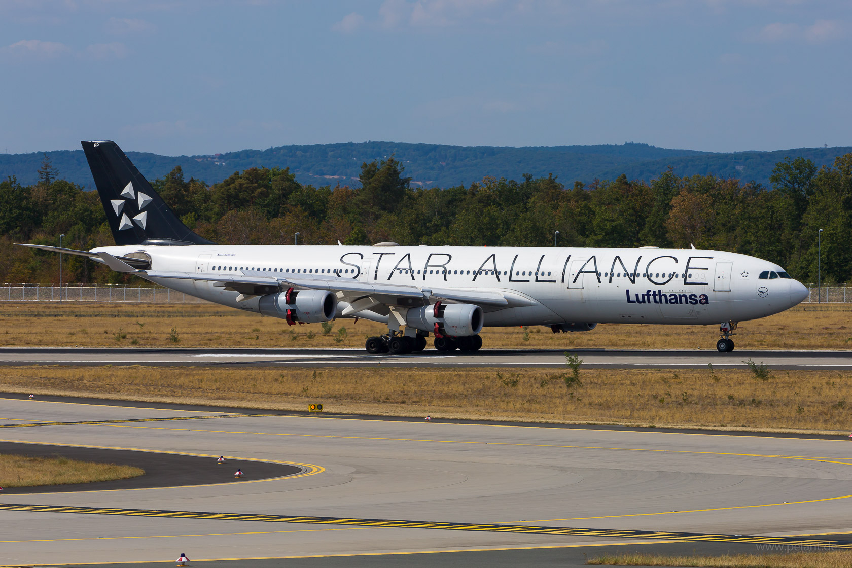 D-AIGP Lufthansa Airbus A340-313 in Frankfurt / FRA (Star Alliance Livery)