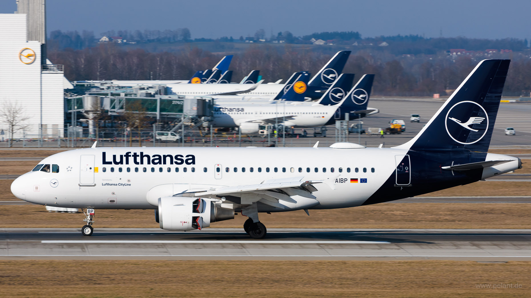 D-AIBP Lufthansa CityLine Airbus A319 in Mnchen / MUC