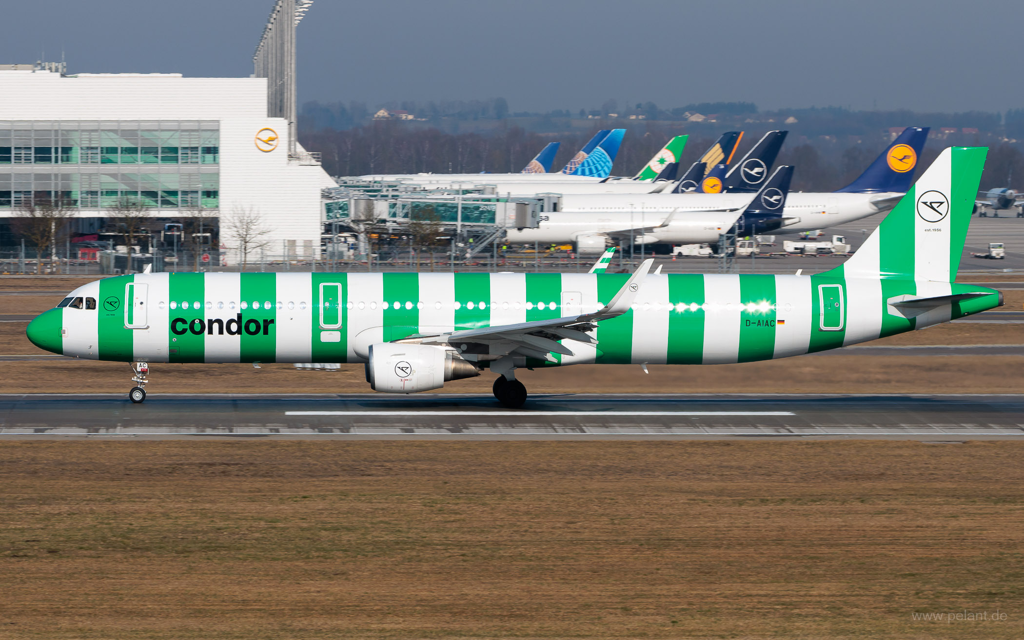 D-AIAC Condor Airbus A321-211 in München / MUC