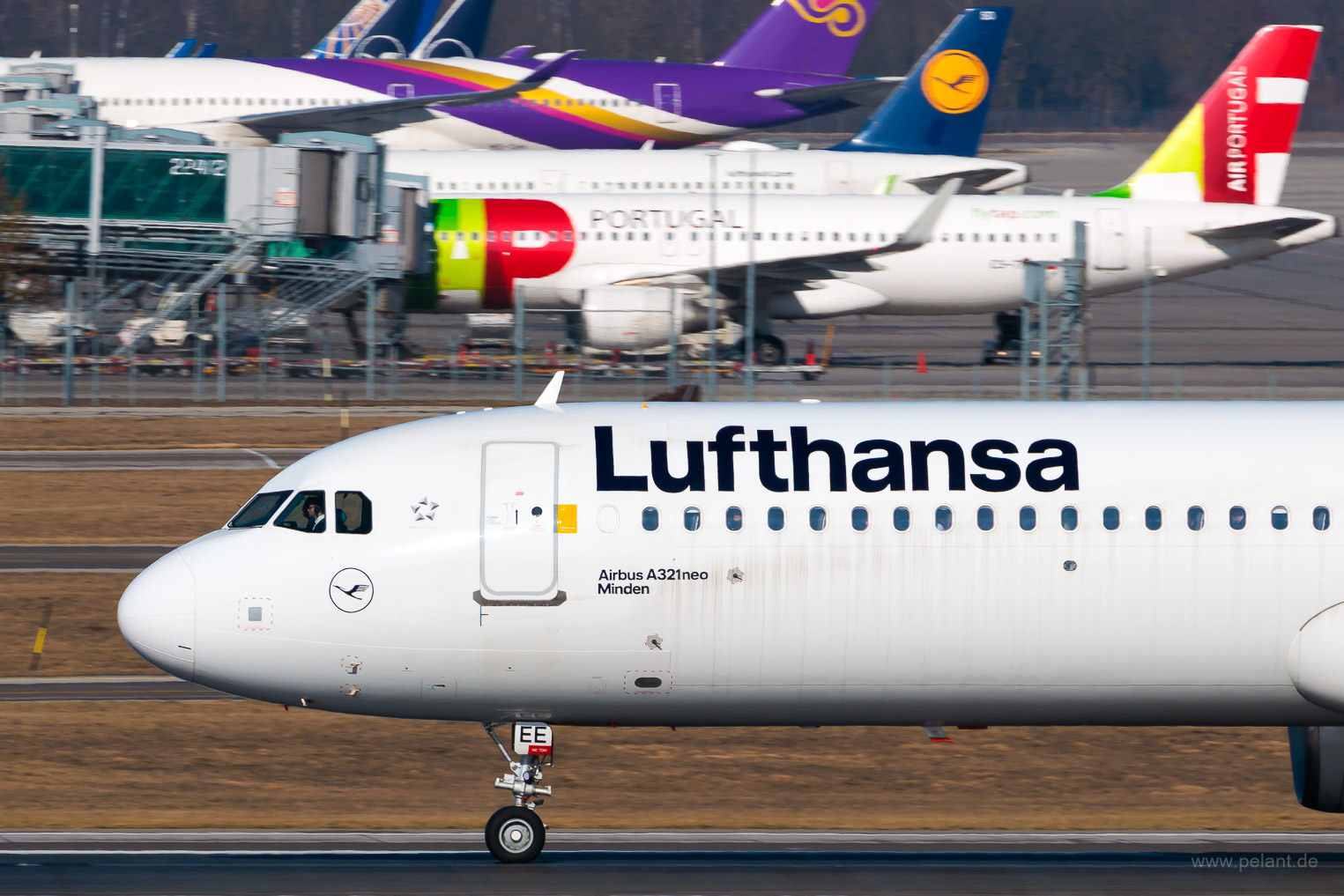 D-AIEE Lufthansa Airbus A321-271NX in München / MUC