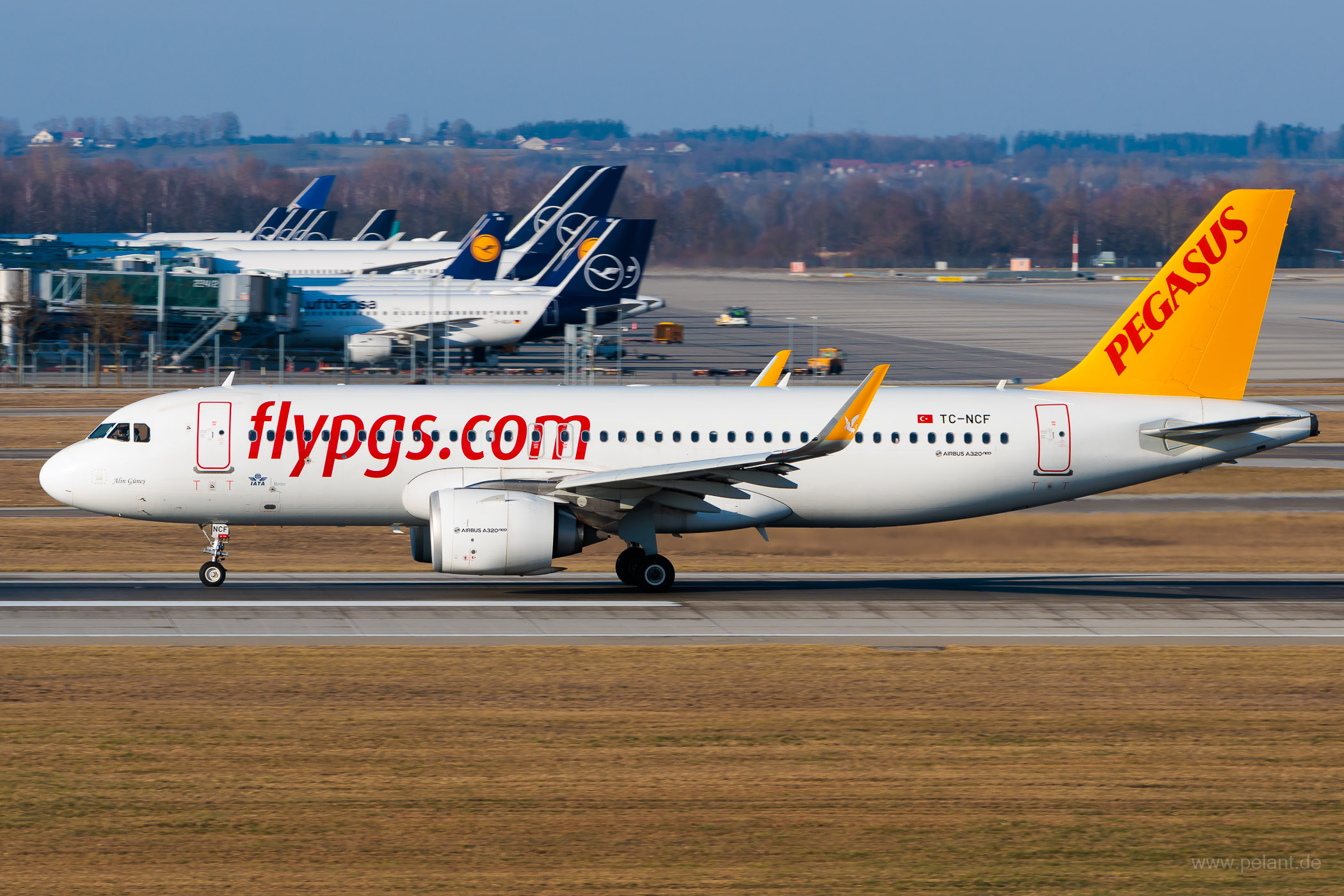 TC-NCF Pegasus Airlines Airbus A320-251N in München / MUC