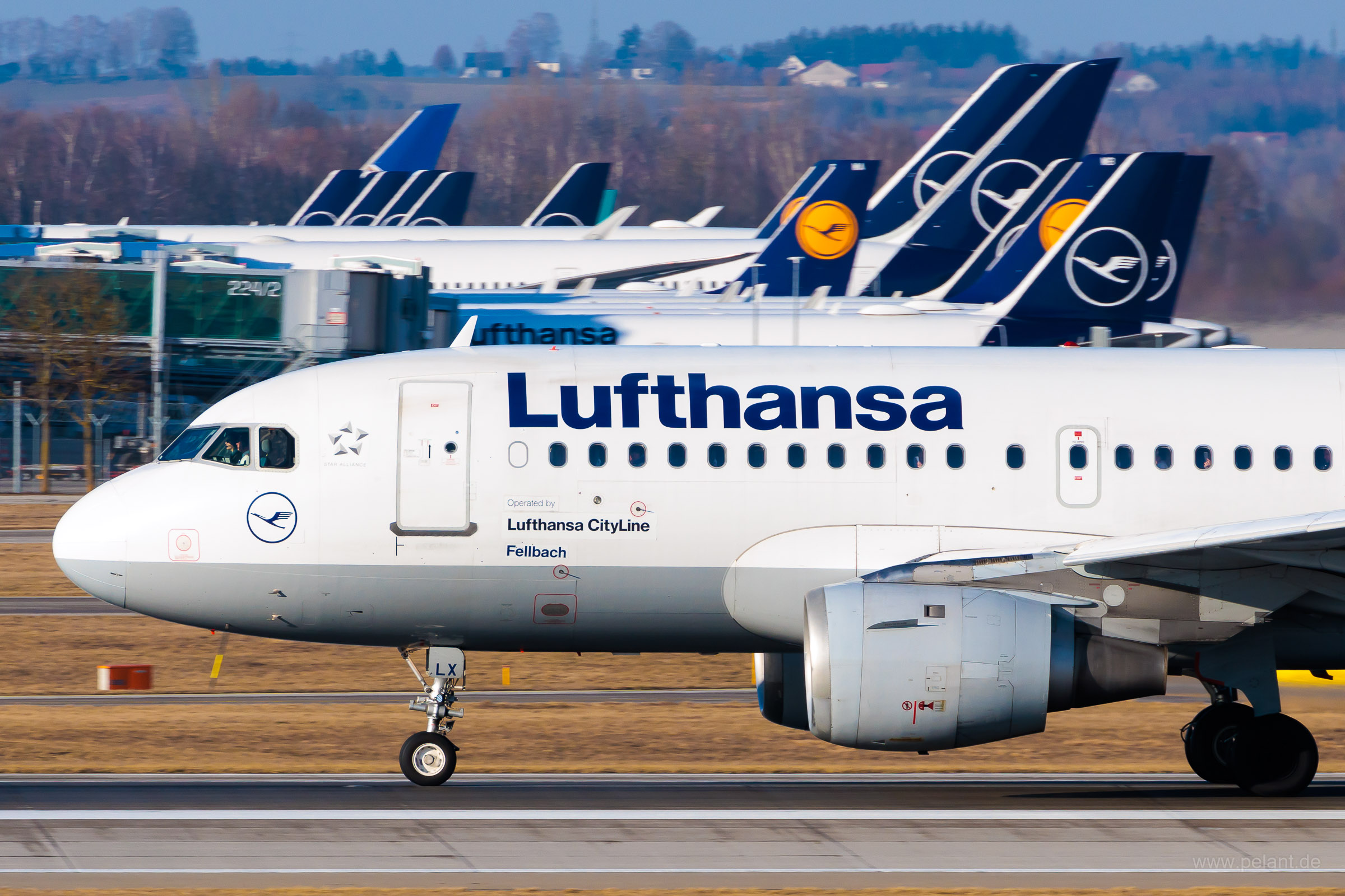 D-AILX Lufthansa CityLine Airbus A319-114 in München / MUC