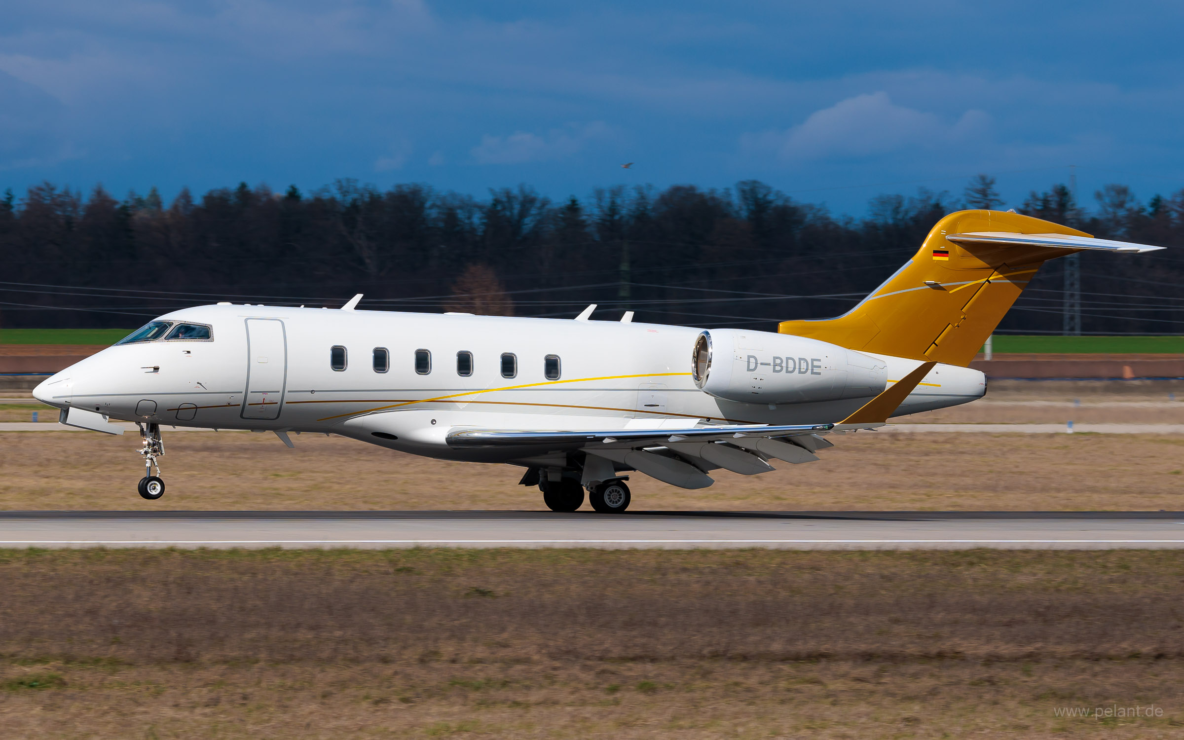 D-BDDE DC Aviation Bombardier Challenger 350 in Stuttgart / STR