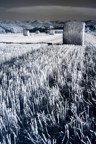 Infrarotaufnahme - Strohballen auf einem Stoppelfeld zwischen Häslach und Altenriet mit Blick auf die Albkette und die Achalm