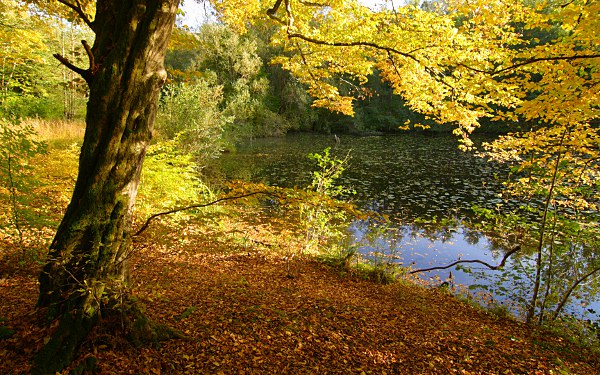 Schlüsselsee, Schaichtal im Herbst