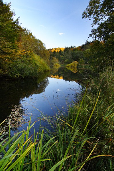 ein Fleckchen Wald in der Ferne wird noch von der Abendsonne beschienen und spiegelt sich in einem See im Schaichtal, Schönbuch