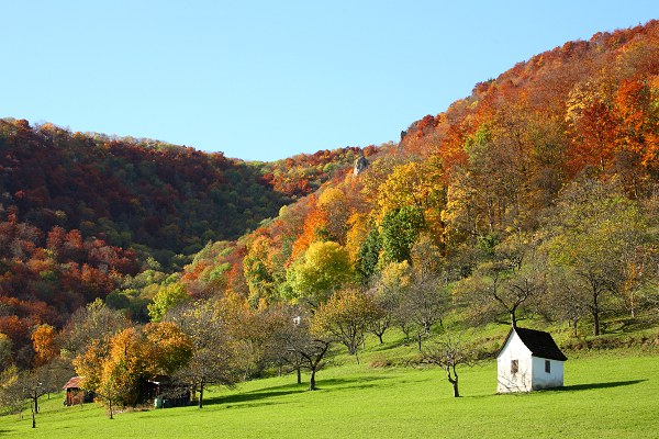 Albtrauf am Maisental in Herbstfarben (Goldener Oktober) mit kleiner Hütte