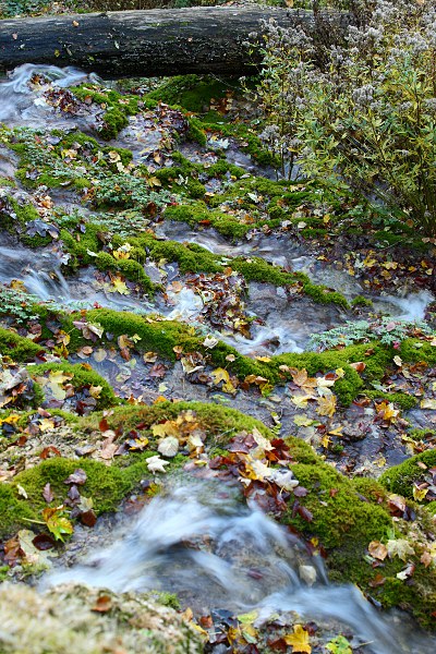 Gütersteiner Wasserfall