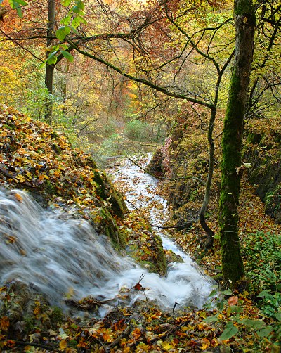 Gütersteiner Wasserfall