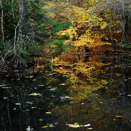 Hummelsklingensee im Schaichtal