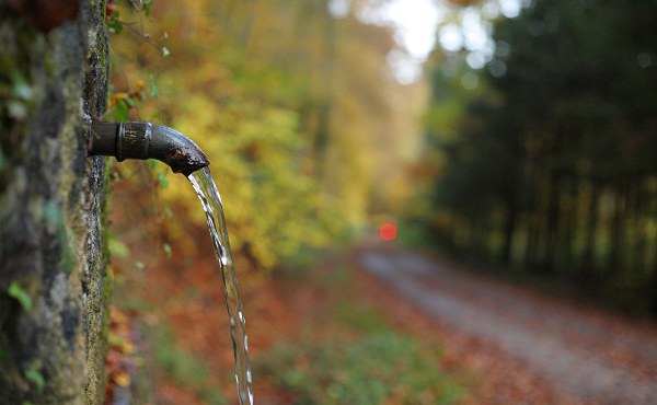 Häfnerbrunnen im Schaichtal