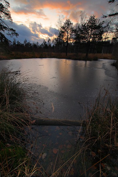 evening at Birkensee