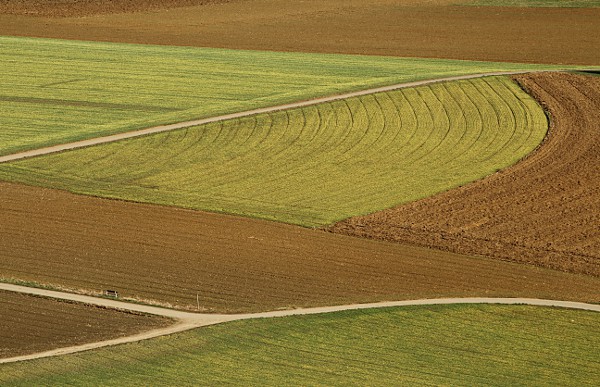 Felder mit Wintergetreidesaat und Feldwege