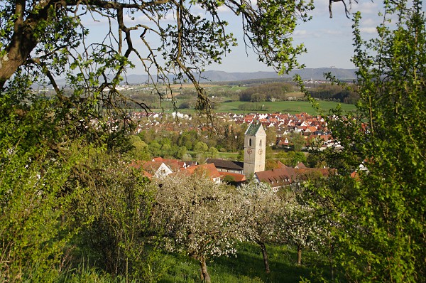 Blick auf Neckartailfingen und den schiefen Kirchturm der Martinskirche