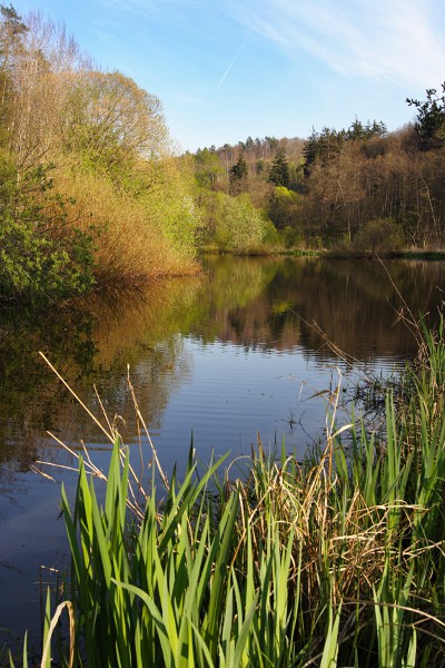 Brückenweiher, Schaichtal, Schönbuch