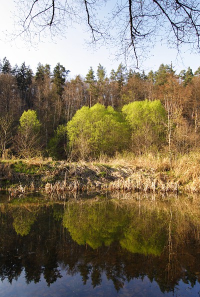 Reflektionen