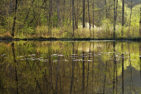 Schlüsselsee im Schaichtal