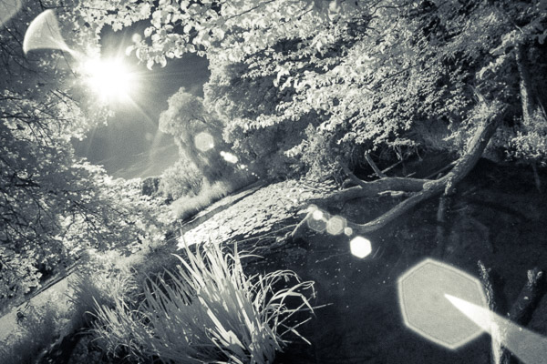 Infrarotbild: Teich im Gegenlicht Infrarotbild: Teich im Gegenlicht