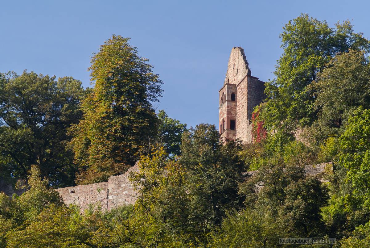 Minneburg von Neckargerach aus gesehen