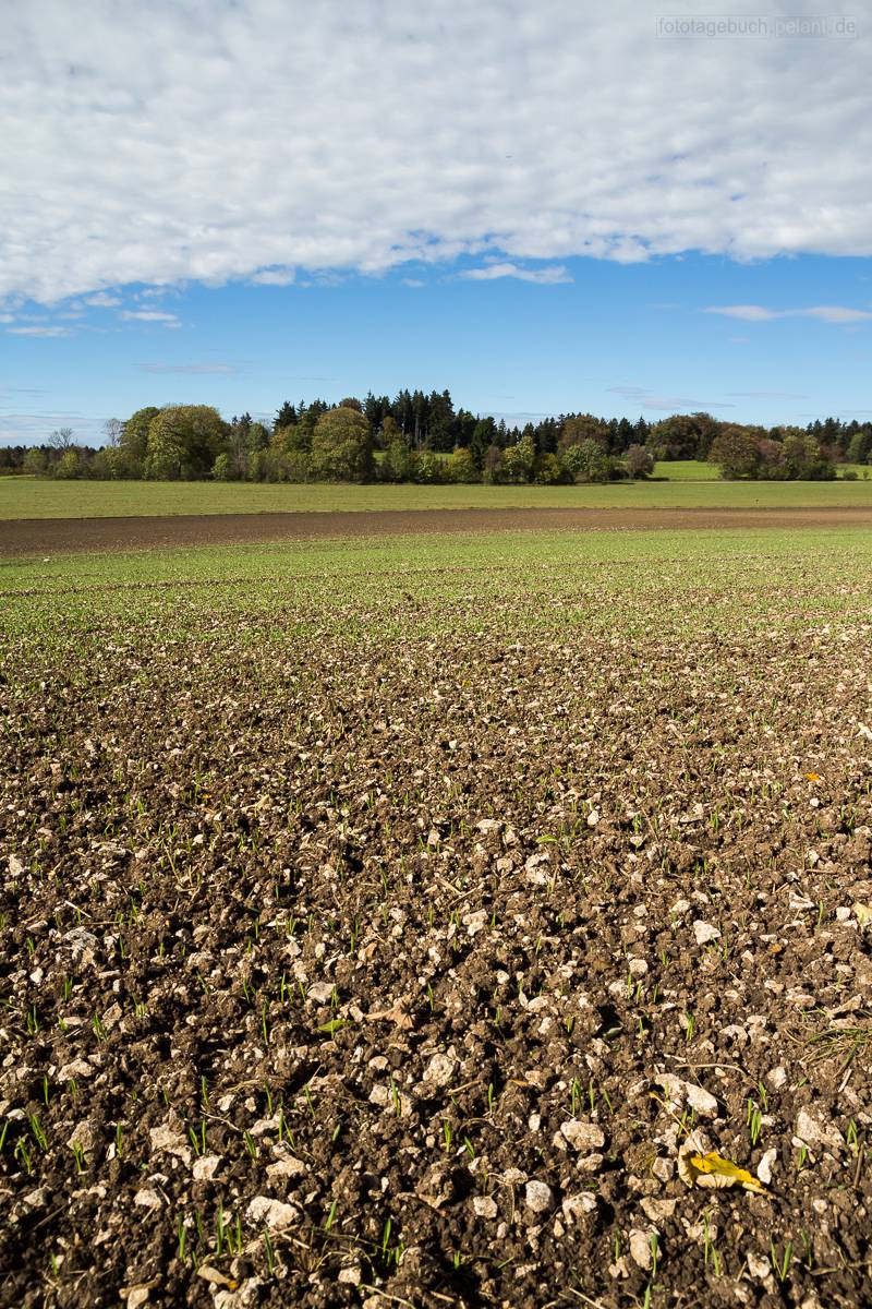 Steiniger Acker auf der Schwäbischen Alb