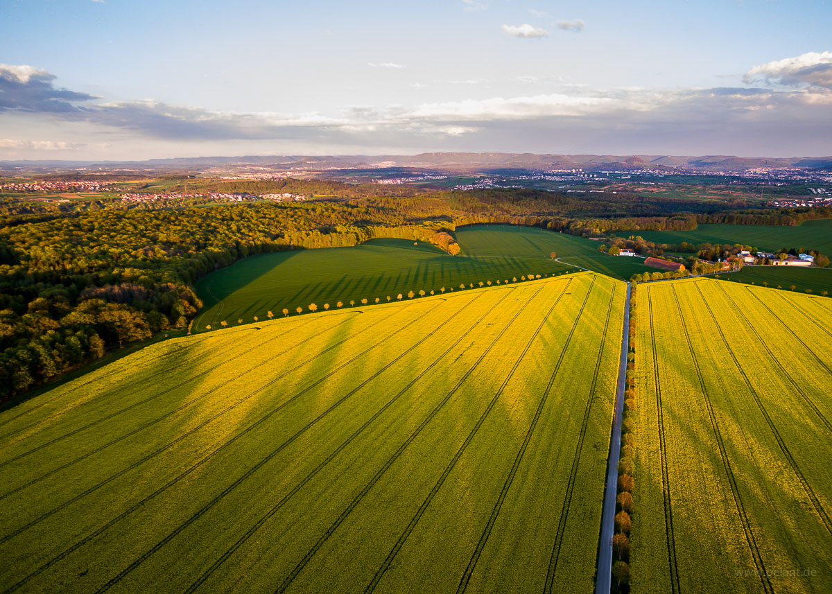 Luftaufnahme von blühenden Rapsfeldern beim Einsiedel im Abendlicht
