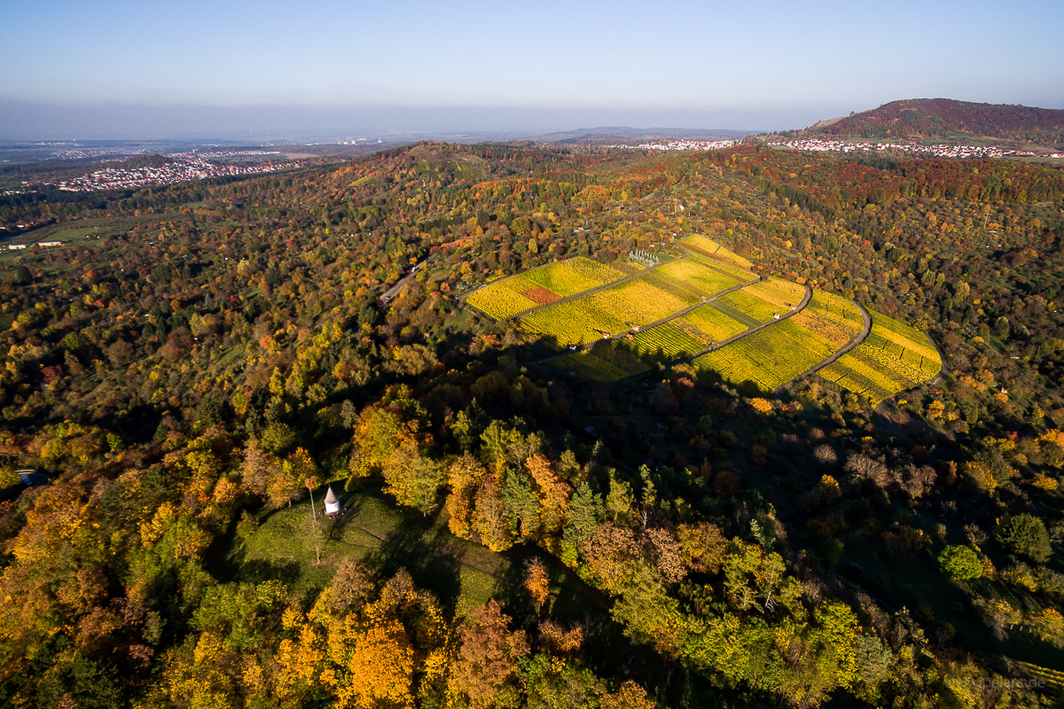 Blick über den Metzinger Weinberg (Luftaufnahme)