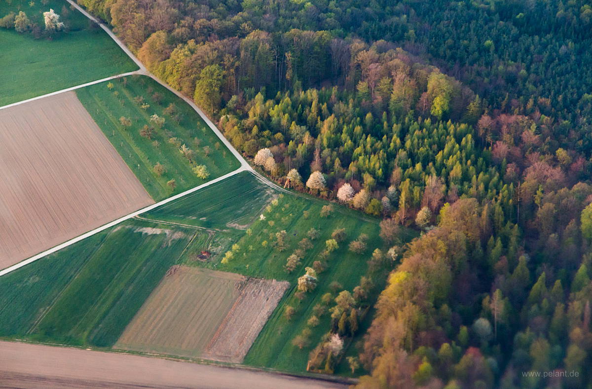 Luftaufnahme von Streuobstwiesen am Waldrand bei Stetten im Frühjahr