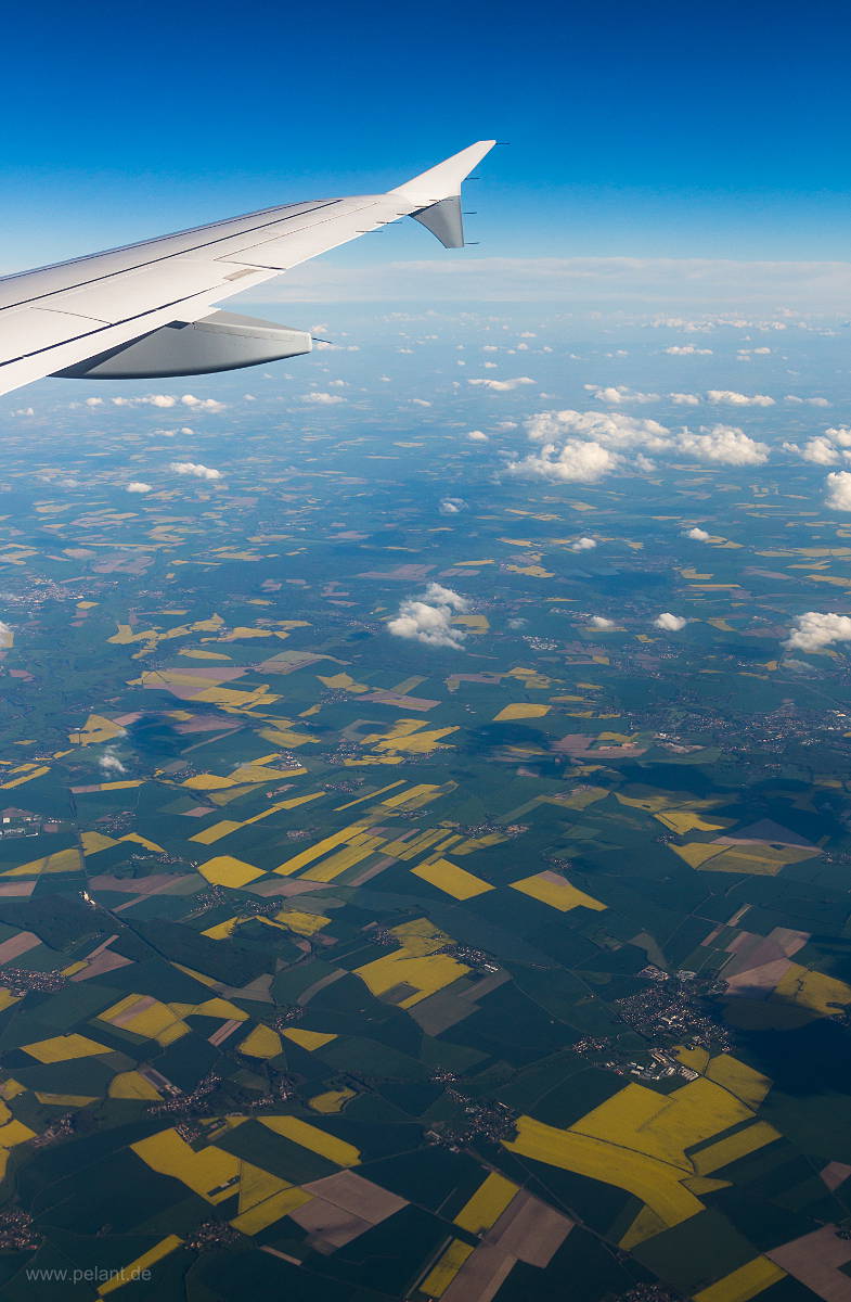 Aerial view of flowering rapeseed fields