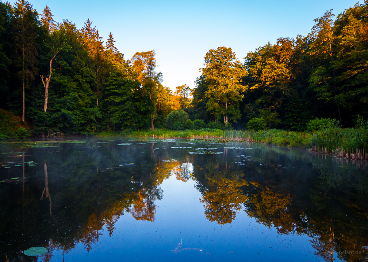 Steigweiher im Schaichtal im Morgenlicht