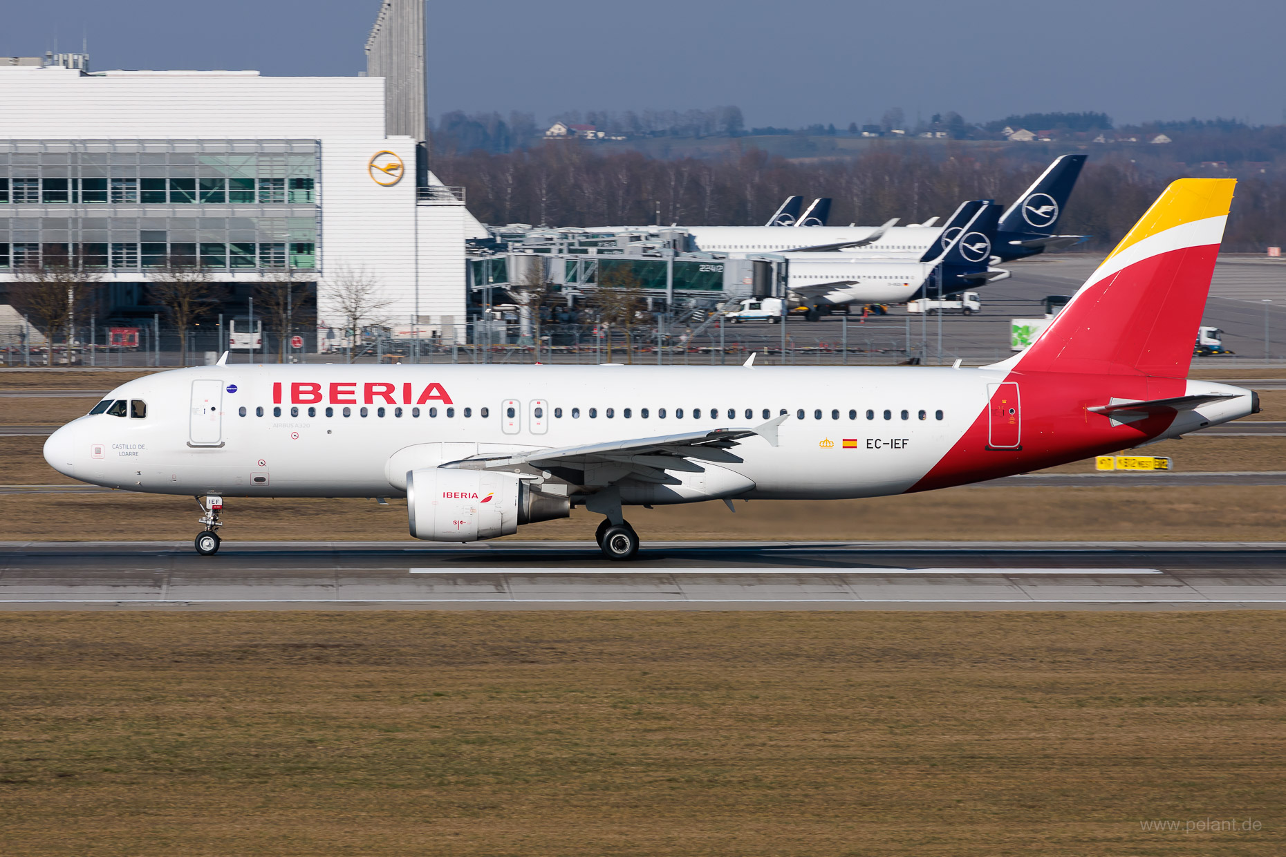 EC-IEF Iberia Airbus A320-214 in München / MUC